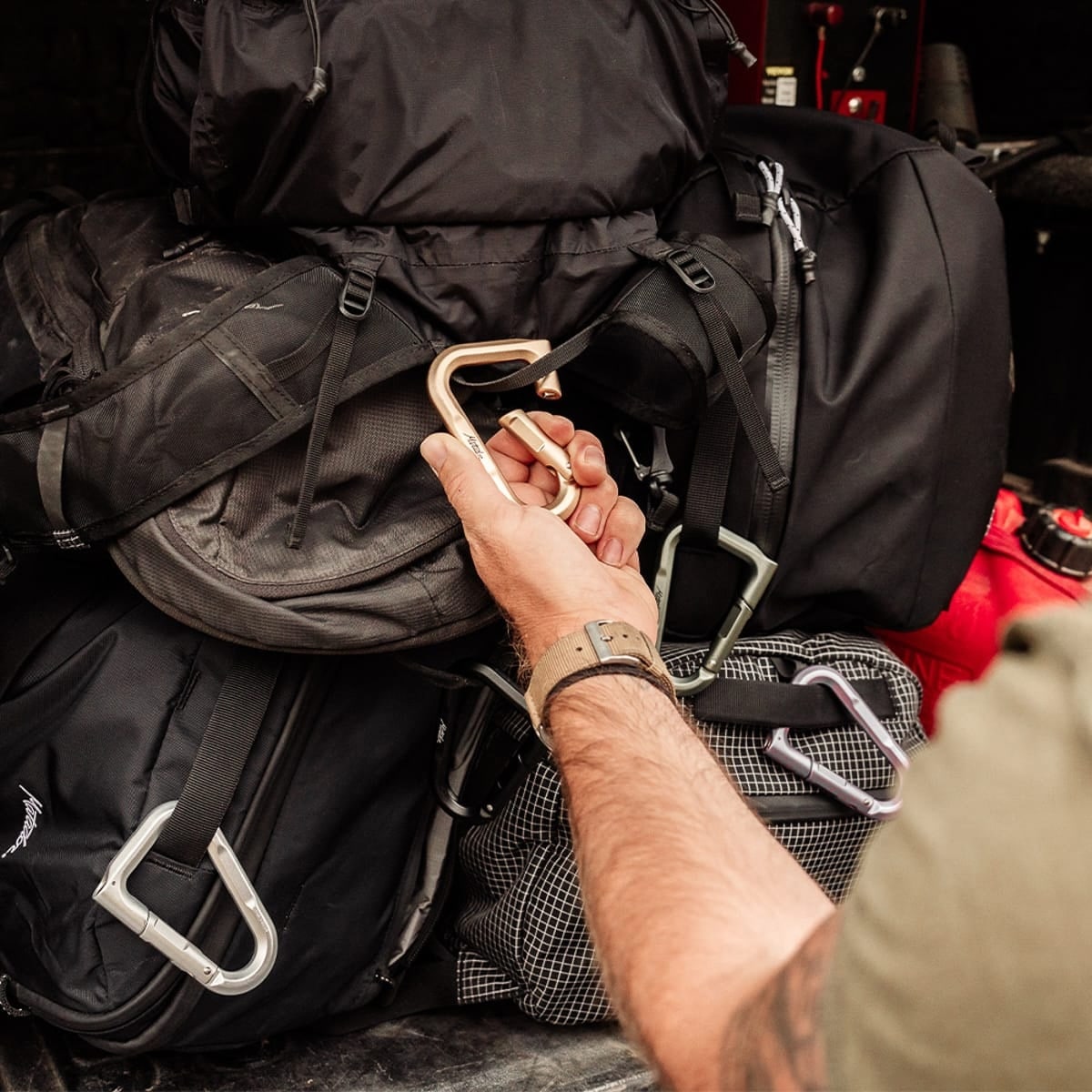 BetaLock Locking Carabiner