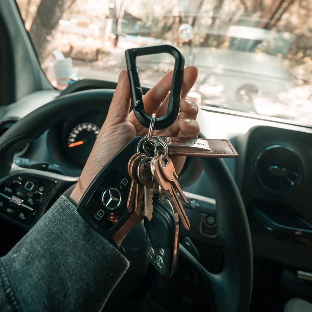 BetaLock Locking Carabiner