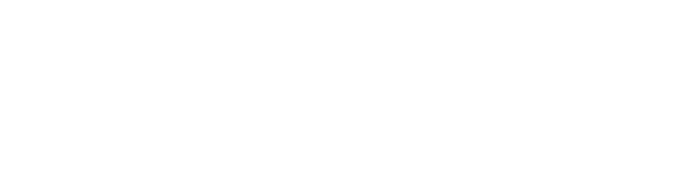 White matador logo