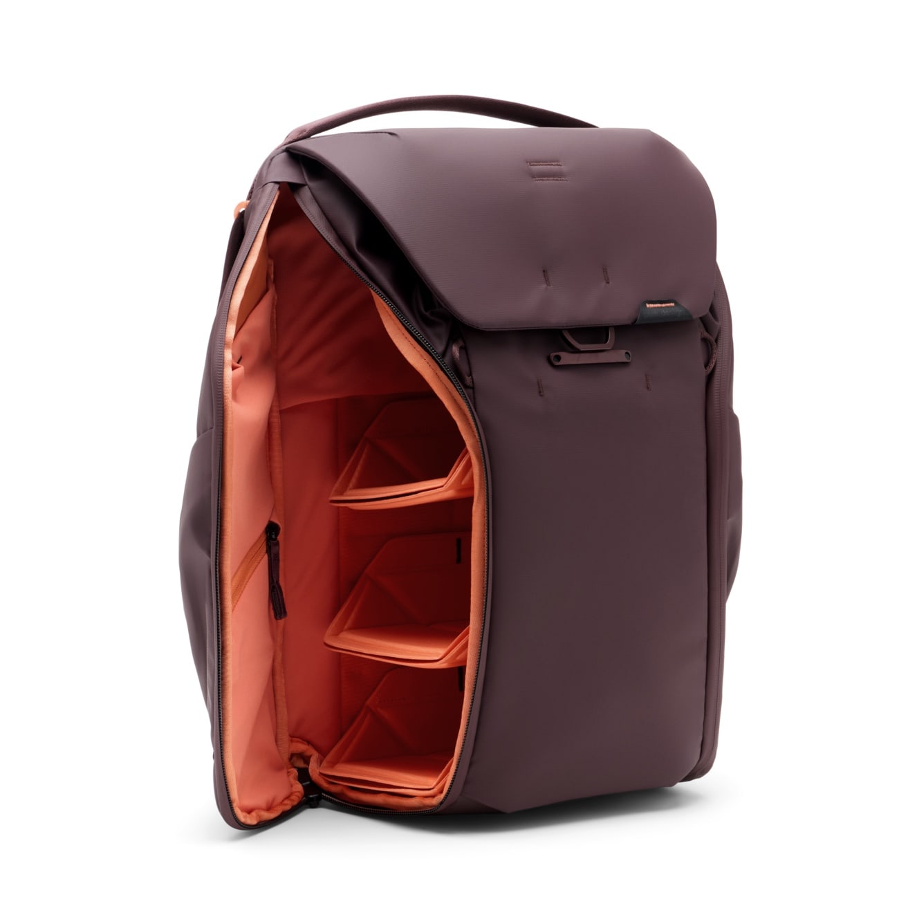 Everyday Backpack