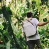 Totepack Bone in Action