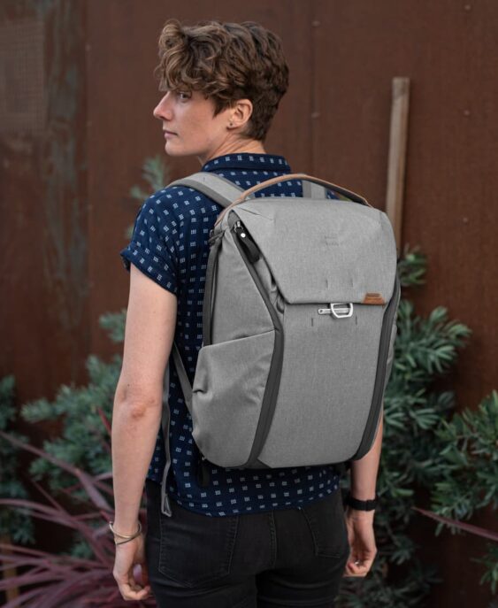 backpack v2 20L ash ls 1