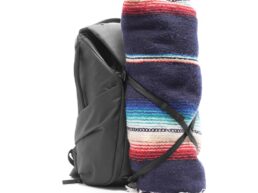 backpack v2 20L black 15