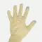 Antimicrobial Gloves
