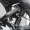 Motorcycle Stem Mount